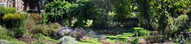 Chelsea Physic Garden